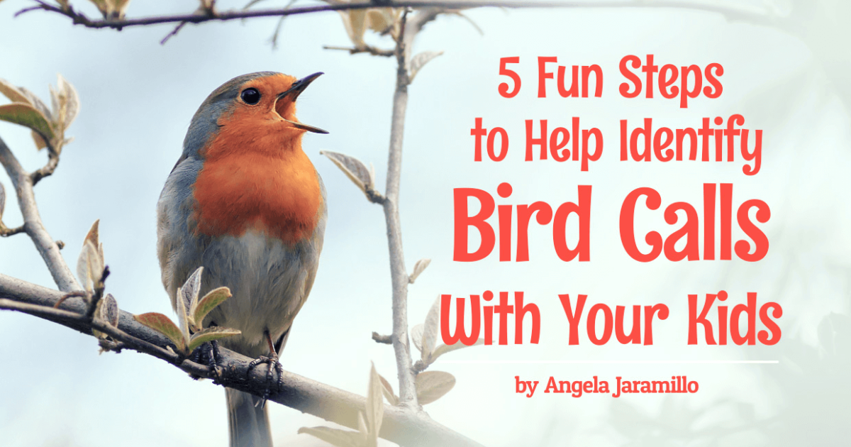 5-fun-steps-to-help-identify-bird-calls-with-your-kids-seton-magazine